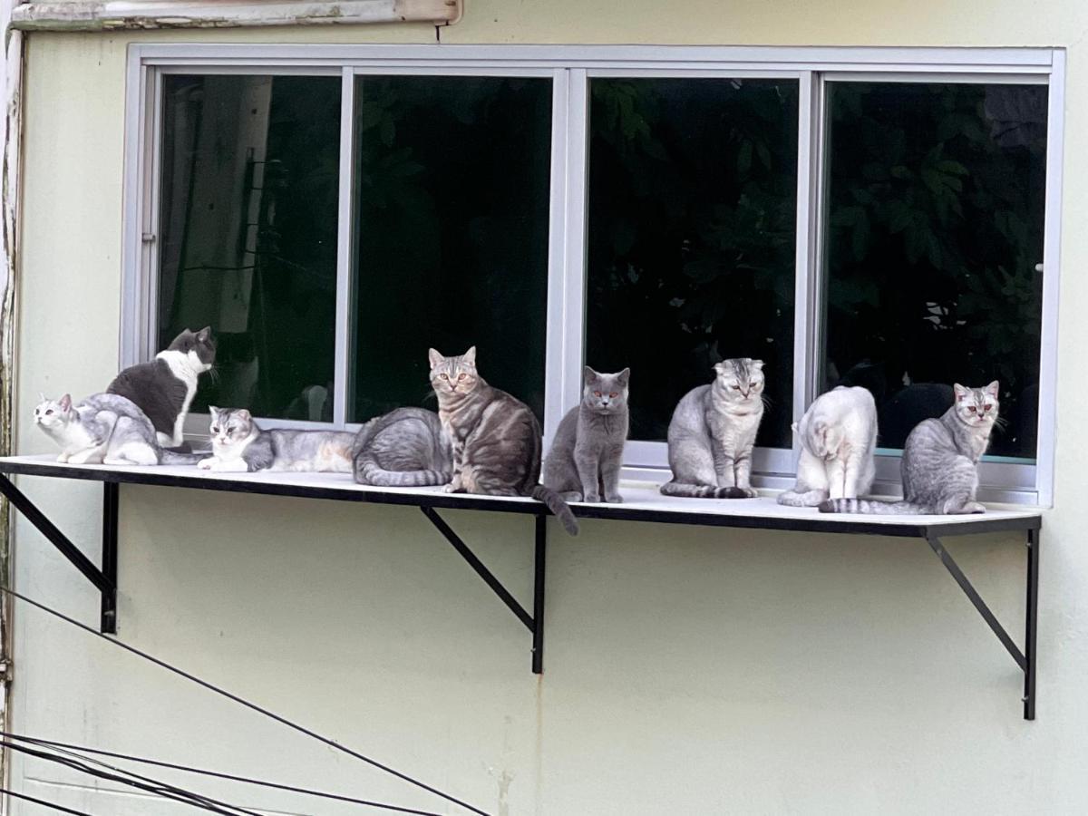Baan Nilawan Hua Hin Hotel Dış mekan fotoğraf